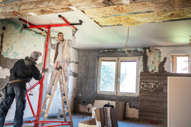 Best DIY Insulation Kits and Guidance in Pocomoke City, MD