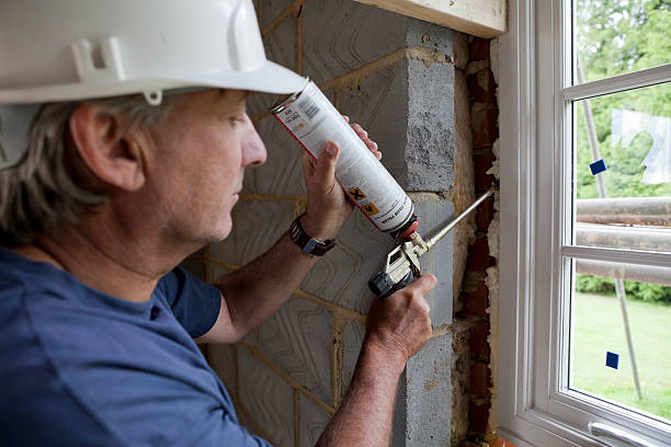 Best Geographic-Specific Insulation Services in Pocomoke City, MD