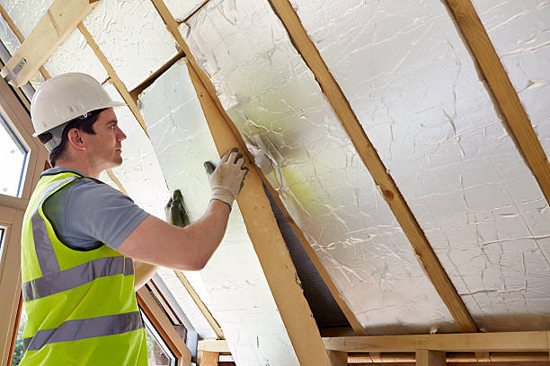 Best Cellulose Insulation in Pocomoke City, MD