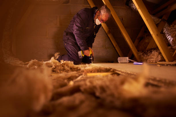 Best Specialized Insulation Services in Pocomoke City, MD